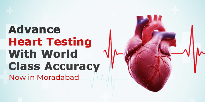 advance cardiac diagnostic moradabad